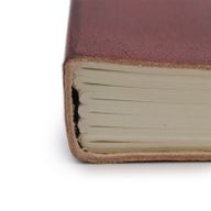 Mittleres Notizbuch mit Riemen - Handlesen