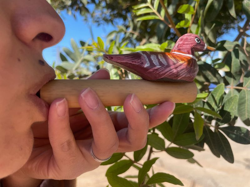 Einfache Vogelpfeife aus Bambus
