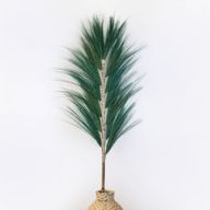 Natürliches Rayung-Gras Grün  - 1.6m