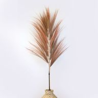 Natürliches Rayung-Gras Coral - 1.6m
