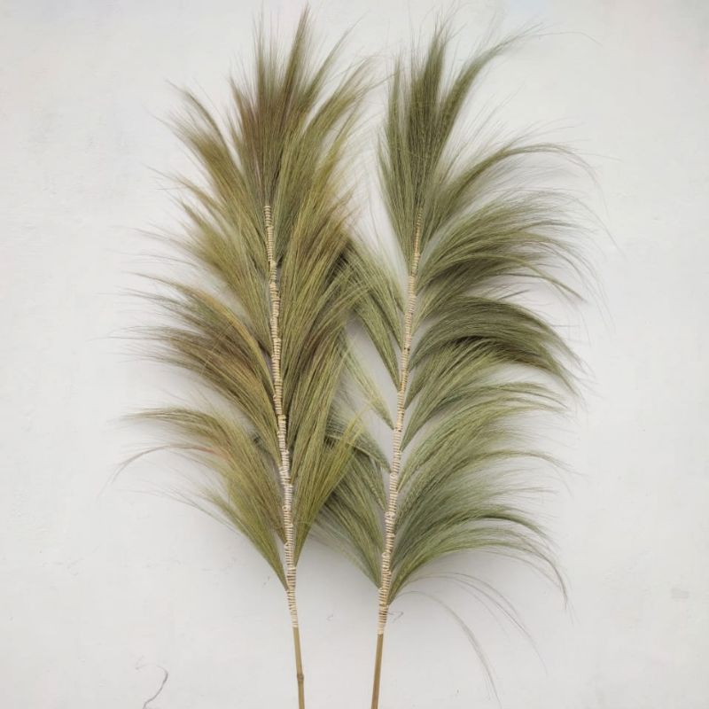 Natürliches Rayung-Gras Natural - 2m