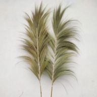 Natürliches Rayung-Gras Natural - 2m