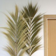 Natürliches Rayung-Gras Natural - 2m