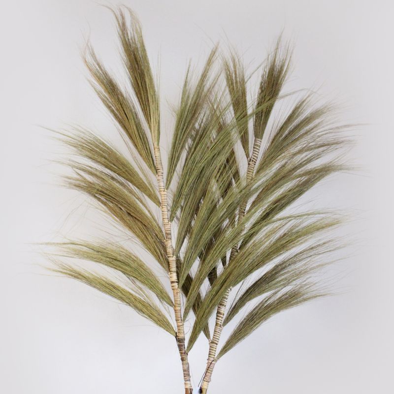 Natürliches Rayung-Gras Natural - 2m