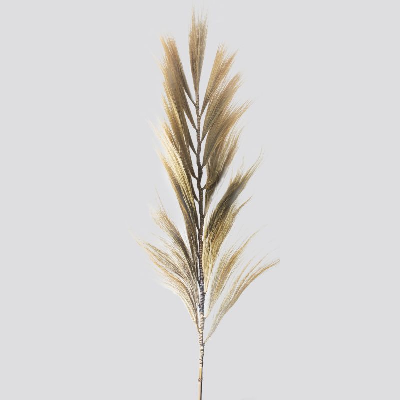 Natürliches Rayung-Gras Blond - 2m