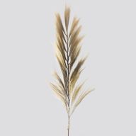 Natürliches Rayung-Gras Blond - 2m