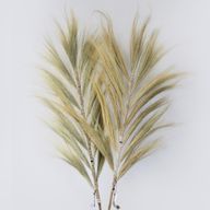 Natürliches Rayung-Gras Blond - 2m
