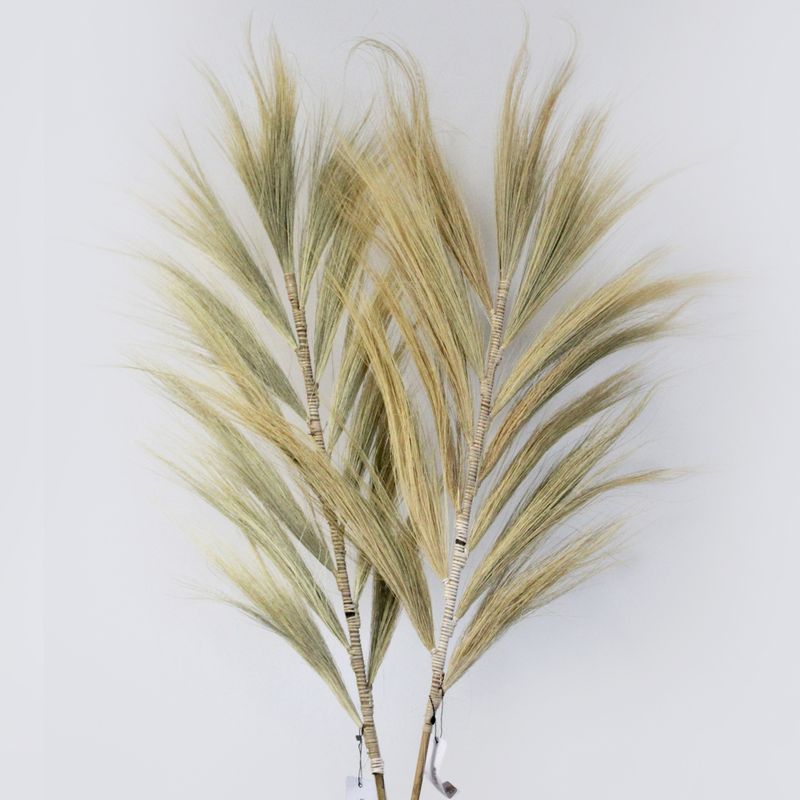 Natürliches Rayung-Gras Blond - 2m