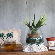 Geschmolzenes Glas auf gebleichtem Holz - Kleine Schale