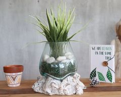 Geschmolzenes Glas auf gebleichtem Holz - Kleine Schale