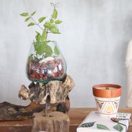 Auf Holz gegossenes Glas mit Ständer - Mittlere Schale