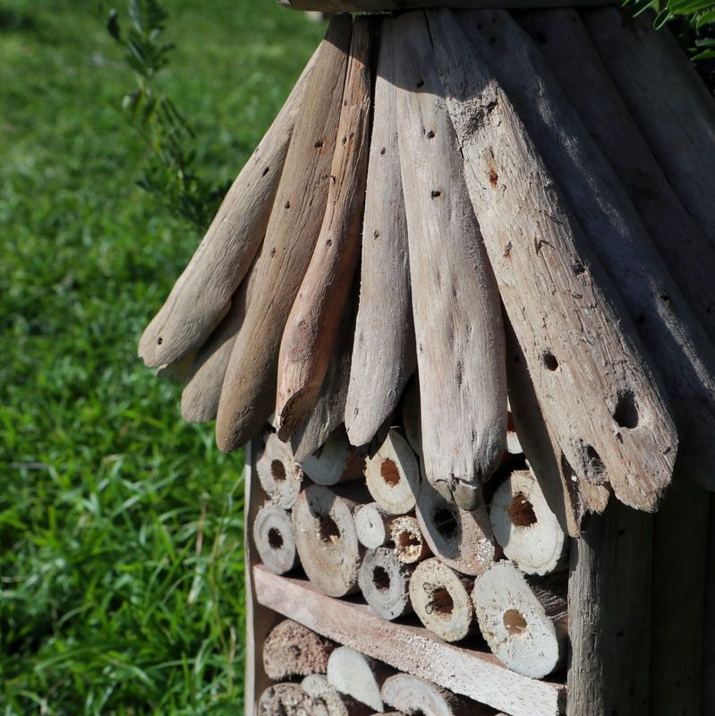 Treibholz-Bienen- und Insekten-Hochhausbox
