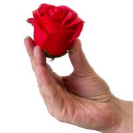 Seifenblumen-Geschenk-Blumenstrauß - 9 Rote Rosen - Quadrat
