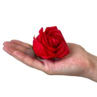 Seifenblumen-Geschenk-Blumenstrauß - 9 Rote Rosen - Quadrat