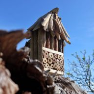 Bienen- und Insektenhäuschen aus Treibholz-Doppelt