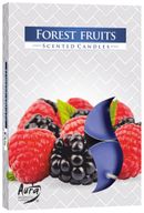 6 Duftteelichter - Forest Fruits