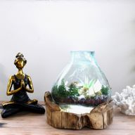 Molten Glass großes Aquarium 3,7 Liter (mit Lichtkammer)- 30 cm (UK-Stecker)