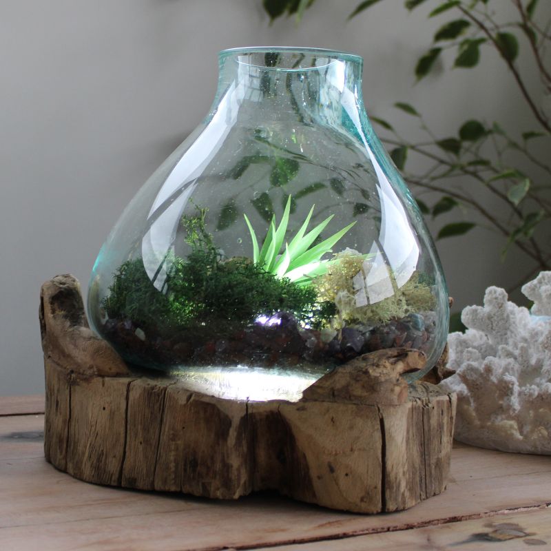 Molten Glass großes Aquarium 3,7 Liter (mit Lichtkammer)- 30 cm (UK-Stecker)
