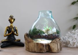 Molten Glass großes Aquarium 3,7 Liter (mit Lichtkammer)- 30 cm (UK-Stecker)