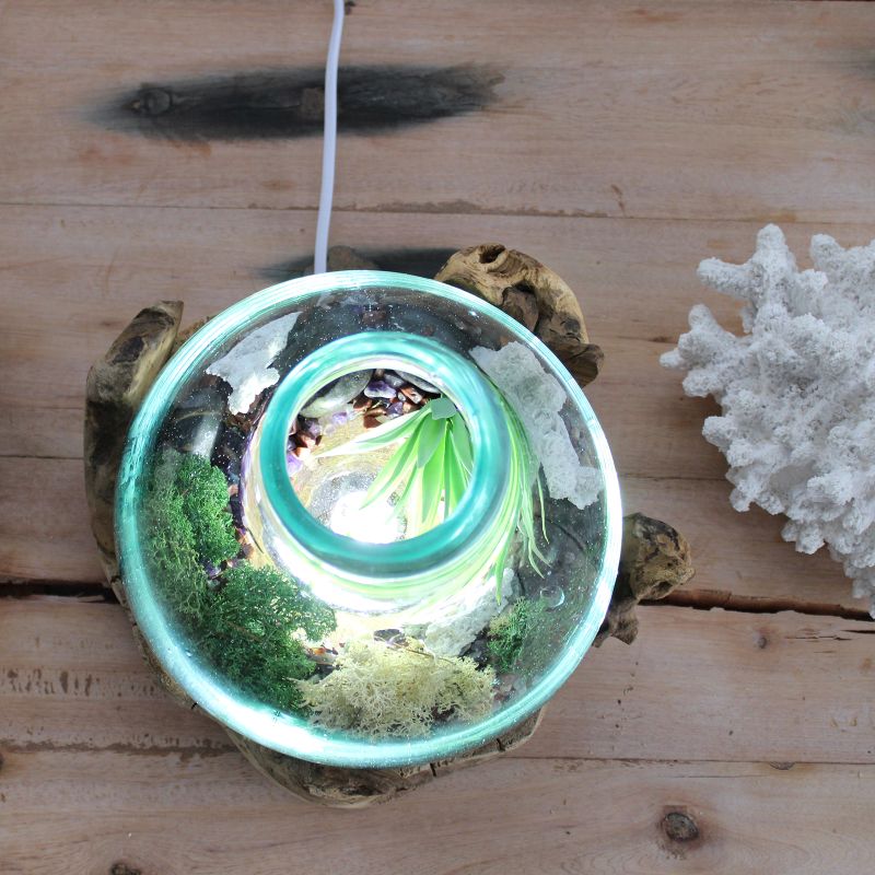 Molten Glass großes Aquarium 3,7 Liter (mit Lichtkammer)- 30 cm (UK-Stecker)