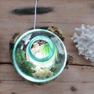 Molten Glass großes Aquarium 3,7 Liter (mit Lichtkammer)- 30 cm (UK-Stecker)