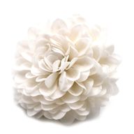 DIY Seifenblumen - Kleine Chrysantheme - Weiß
