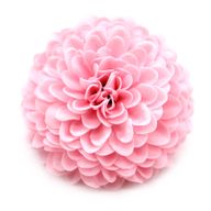 DIY Seifenblumen - Kleine Chrysantheme - Hellrosa