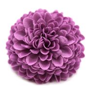 DIY Seifenblumen- Kleine Chrysantheme - Lila