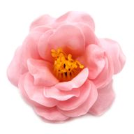 DIY Seifenblumen- Kamelie - Hellrosa