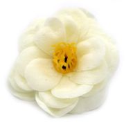 DIY Seifenblumen- Kamelie - Cream