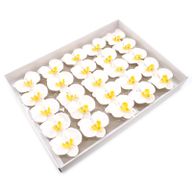 DIY Seifenblumen - Orchidee - Weiß