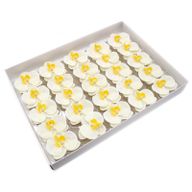 DIY Seifenblumen - Orchidee - Cream