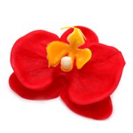 DIY Seifenblumen - Orchidee - Rot