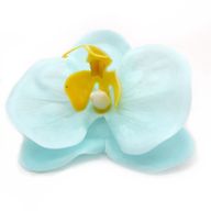 DIY Seifenblumen - Orchidee - Blau