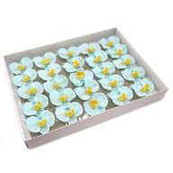 DIY Seifenblumen - Orchidee - Blau