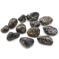 Mittlerer afrikanischer Trommelstein - Perlhuhn-Mittel