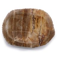 Braune Seifenschale aus versteinertem Holz