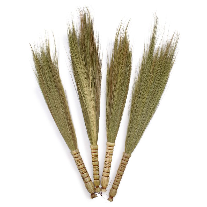 Set 4 - Pampas-Ginster - Natur