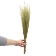 Set 4 - Pampas-Ginster - Natur