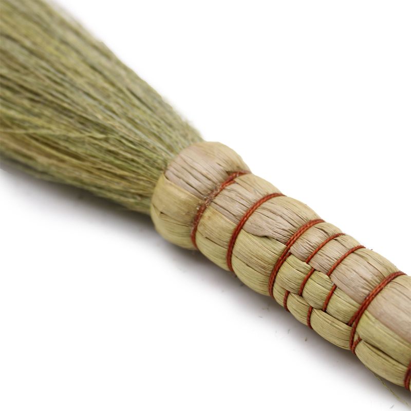Set 4 - Pampas-Ginster - Natur
