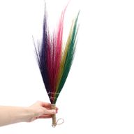 Set 4 - Pampas-Ginster - Regenbogenfarben
