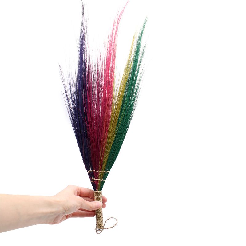 Set 4 - Pampas-Ginster - Regenbogenfarben