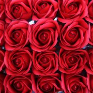 Seifenblumen zum Basteln – Med Rose – Rot mit schwarzem Rand