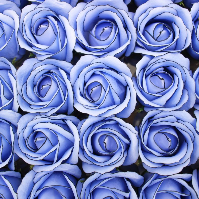 Seifenblumen zum Basteln – Med Rose – Blau mit schwarzem Rand