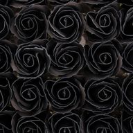 Seifenblumen zum Basteln – Med Rose – Schwarz mit weißem Rand