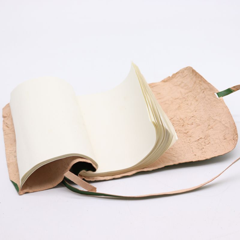 Reisenotizbuch aus gerolltem Leder – 96 Seiten – Grün 21 x 15 cm