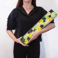Extra lange Box – Frühlingsfeiern – Gelb und Grün