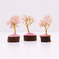 Mini-Edelsteinbäume auf Holzsockel – Rosenquarz (15 Steine)