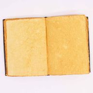Hefty Red Tan Buch – Rosa Rosendekor – 200 Seiten mit Büttenrändern – 26 x 18 cm