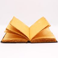 Hefty Red Tan Buch – Rosa Rosendekor – 200 Seiten mit Büttenrändern – 26 x 18 cm